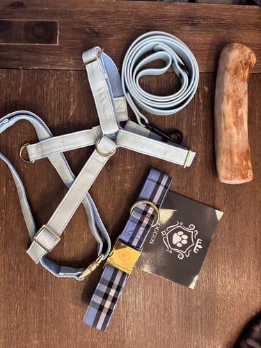 Customer photo review of Mystery Box - Dog