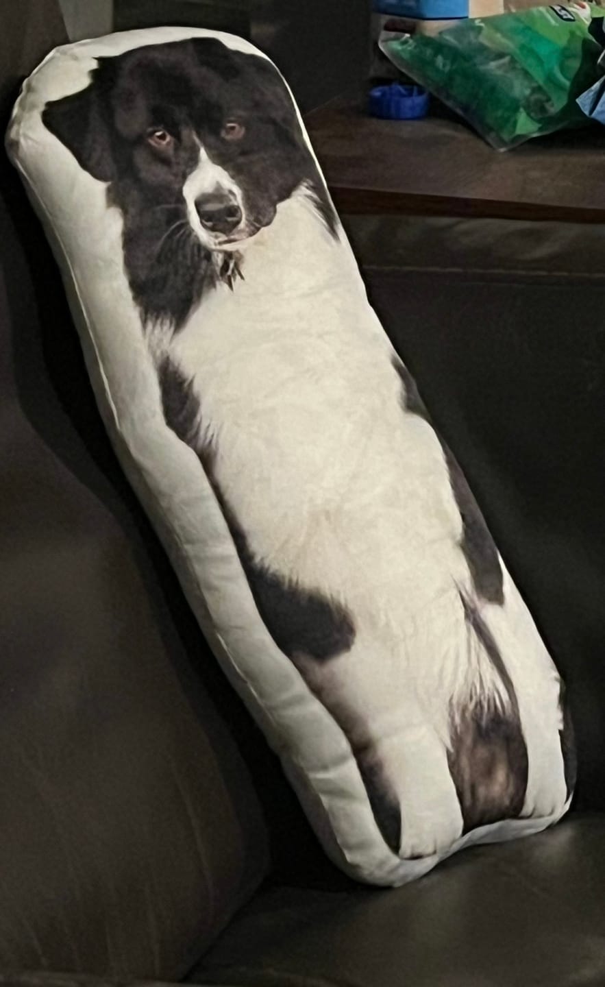 Customer photo review of Pet Pillow Looks Like Your Pet, Customize Dog Shaped Pillow with Pet Photo - ThePetPillow