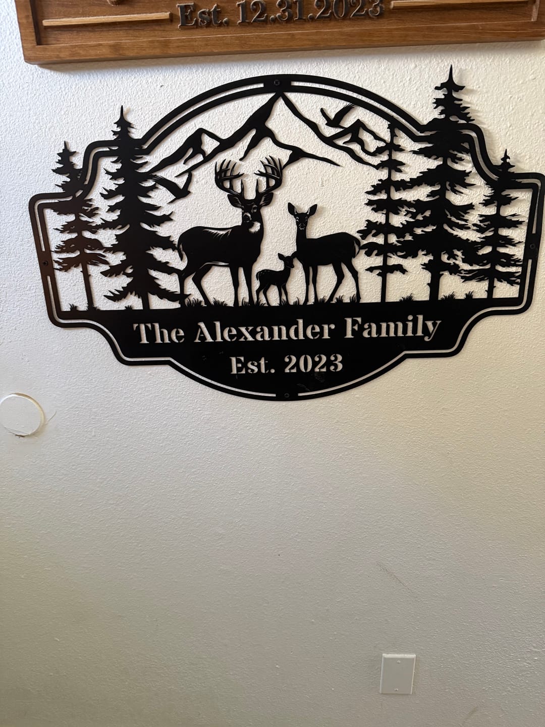 Customer photo review of Forest View Metal Sign