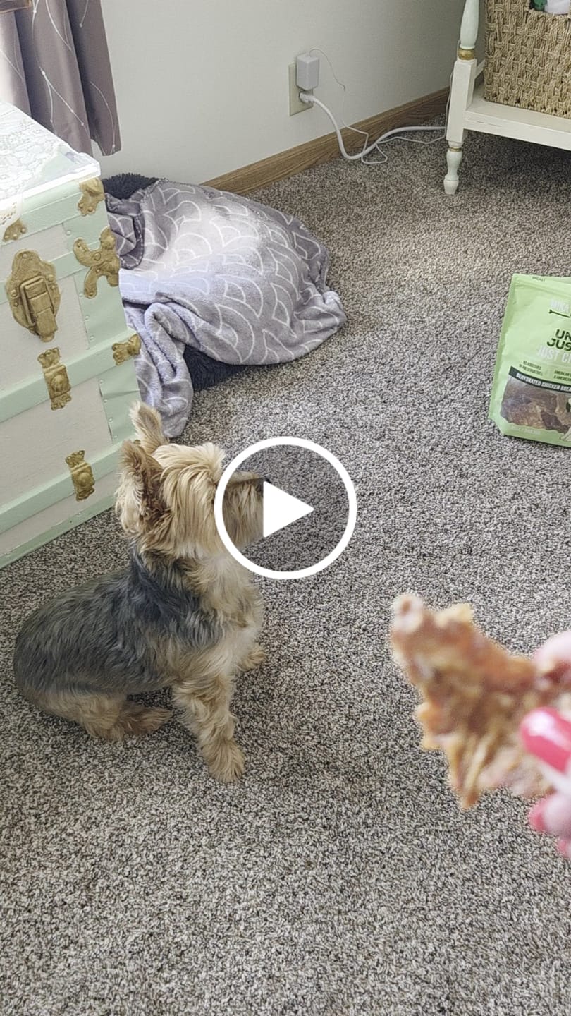 Customer video review of Uncle Justy's Just Chicken