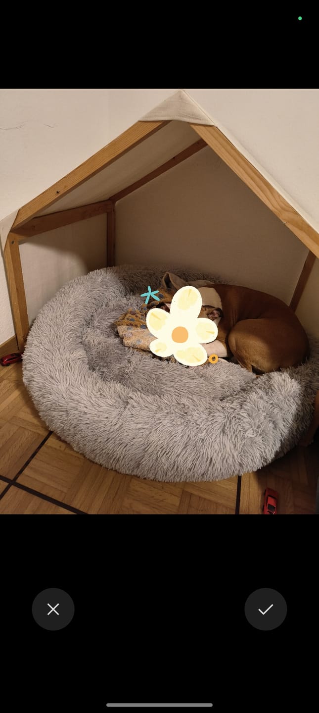 Customer photo review of Belune® Hundebett mit waschbarem Bezug