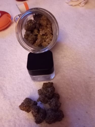 Customer photo review of Lady Zaza