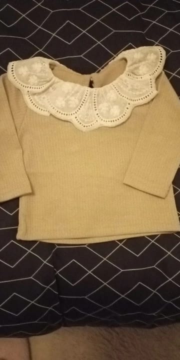 Customer photo review of Embroidered Flower Lotus Collar Top