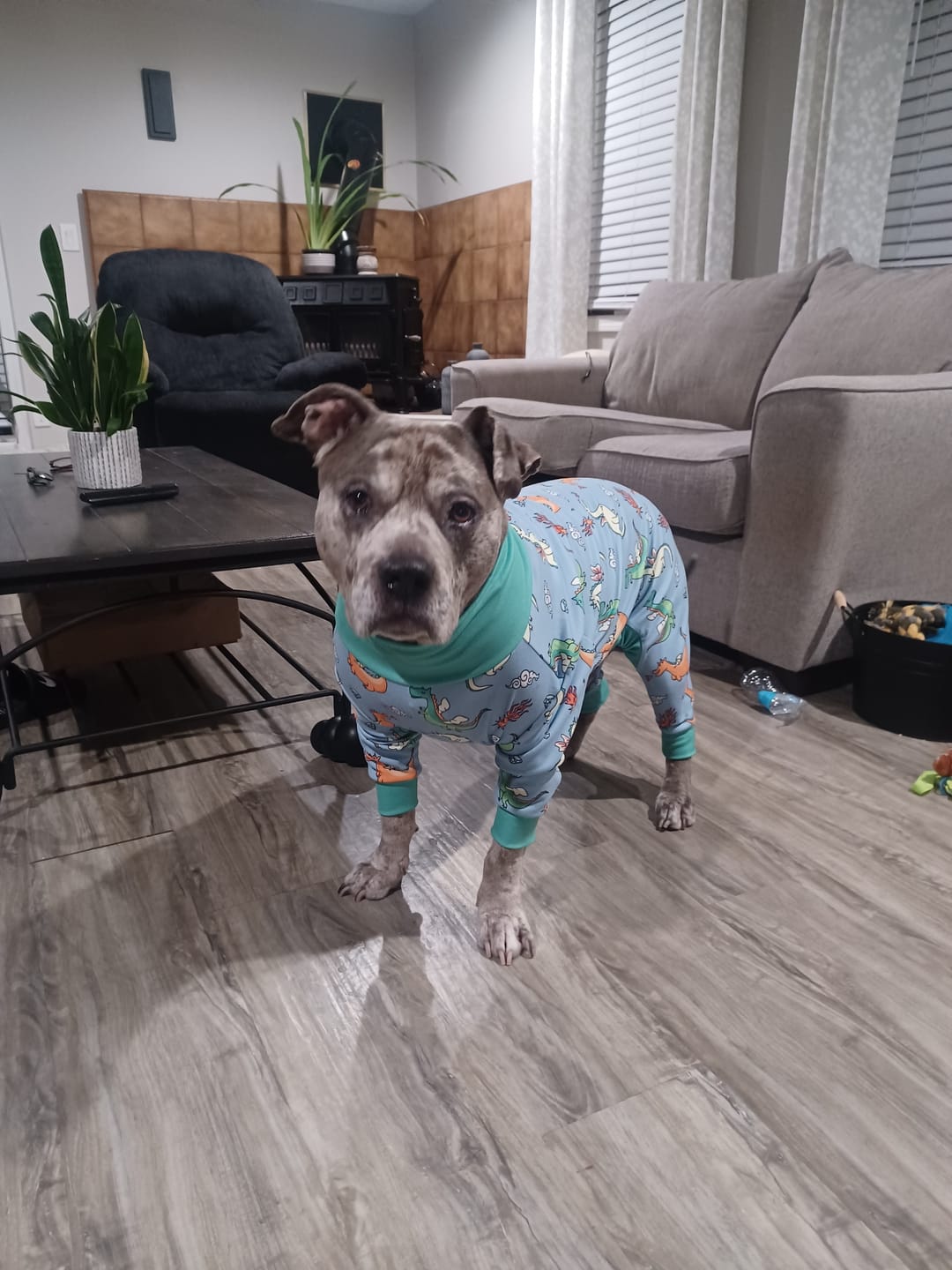 Customer photo review of Dog Pajama Prints