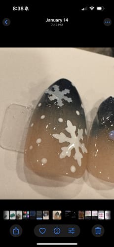 Customer photo review of Snowed In