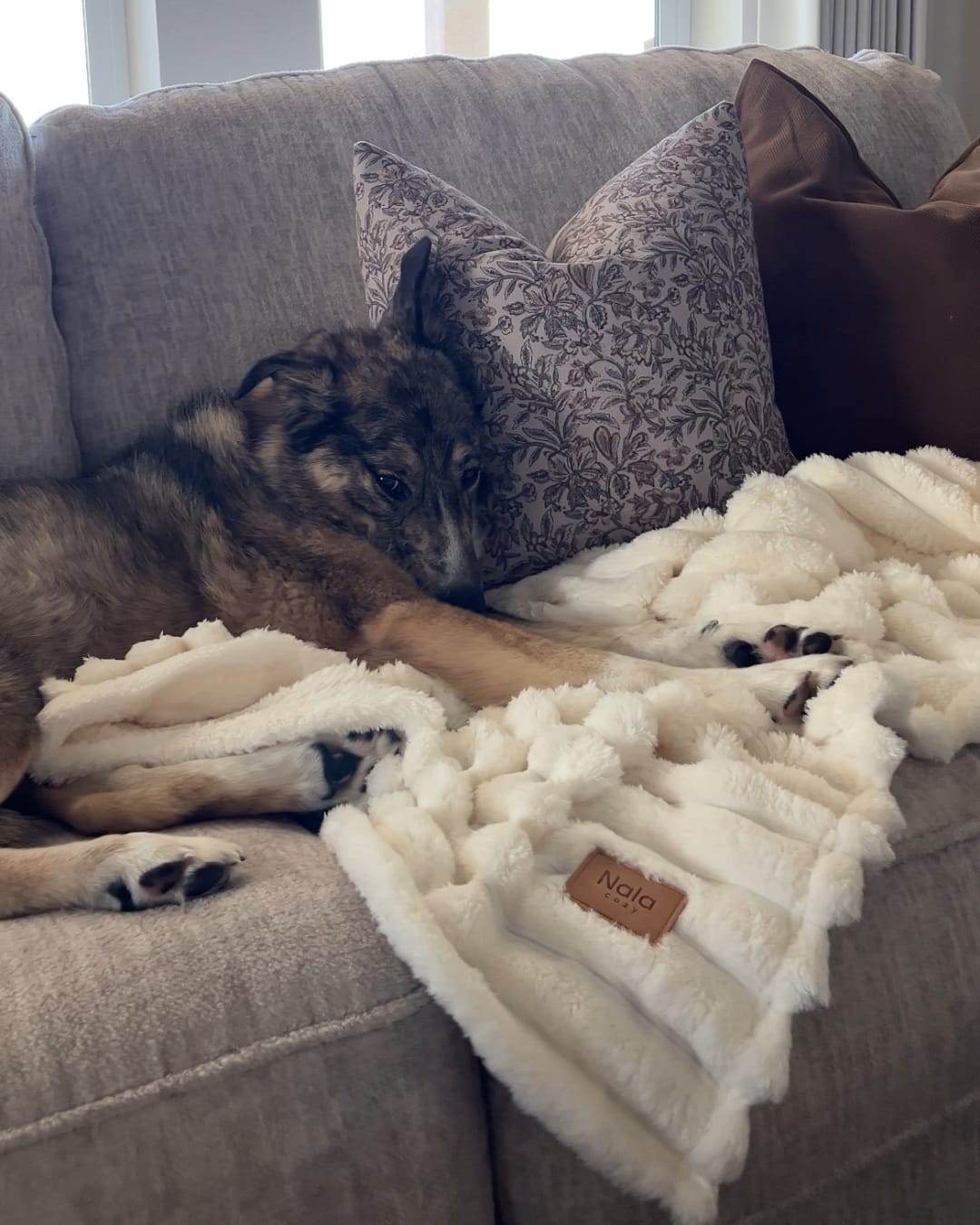 Customer photo review of Cloud Fleece Blanket