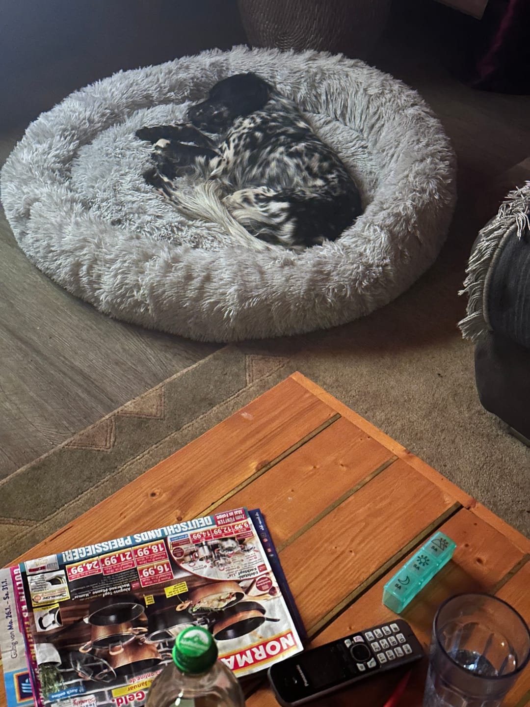 Customer photo review of Belune® Hundebett mit waschbarem Bezug