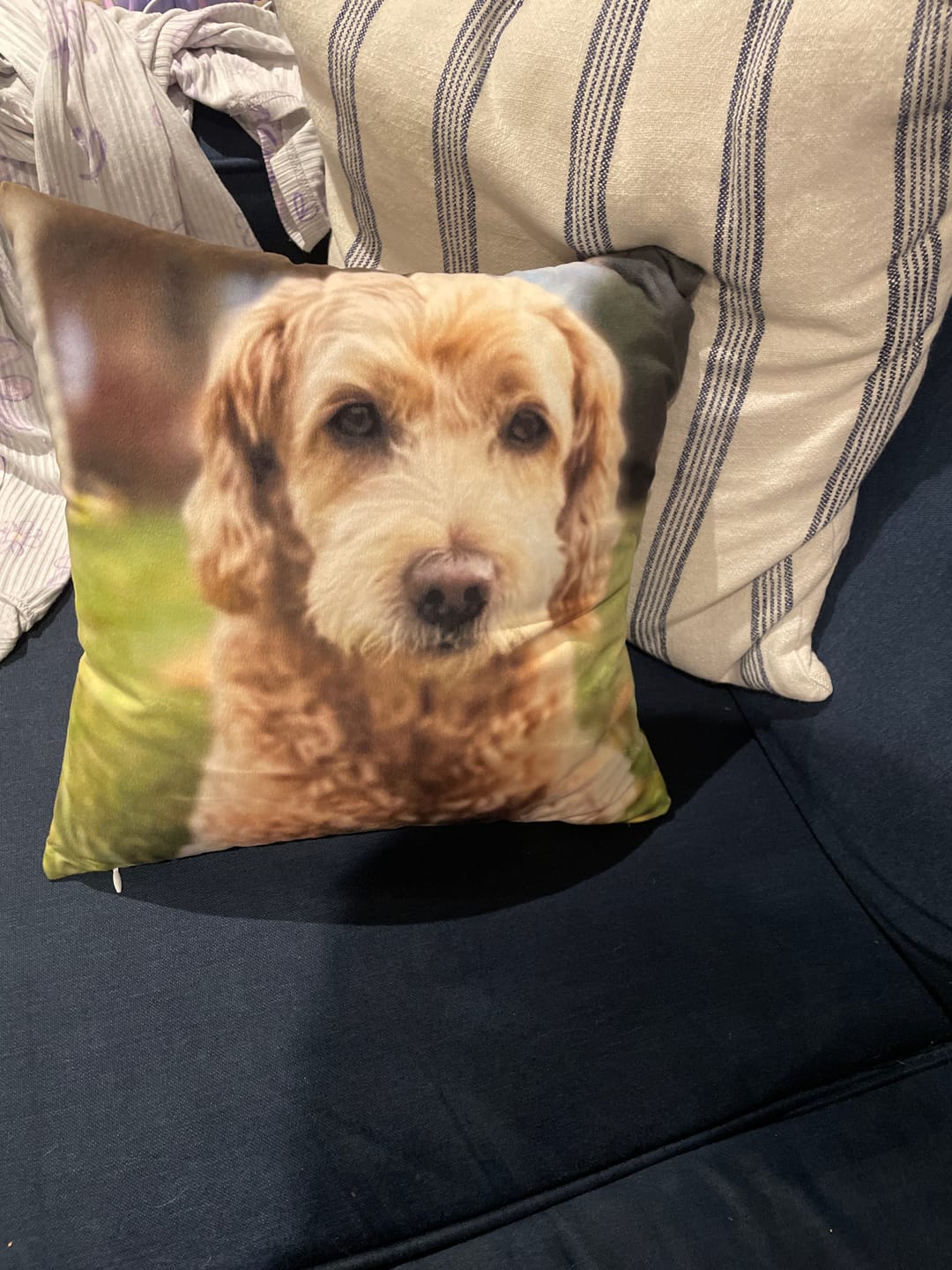 Customer photo review of Pet Photo Custom Square Pillow from Your Orignal Picture