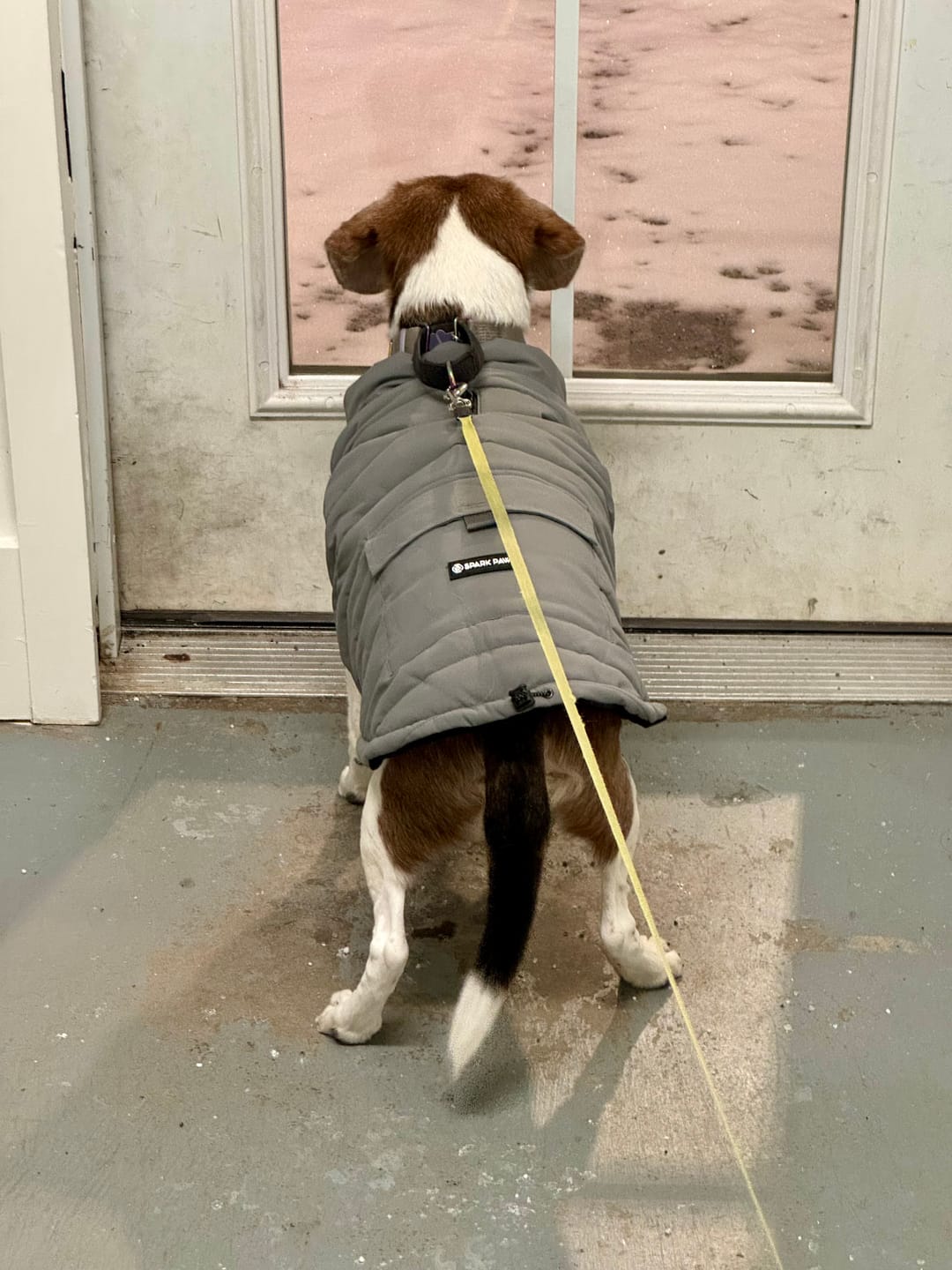 Customer photo review of WarmShield Water-Resistant Jackets