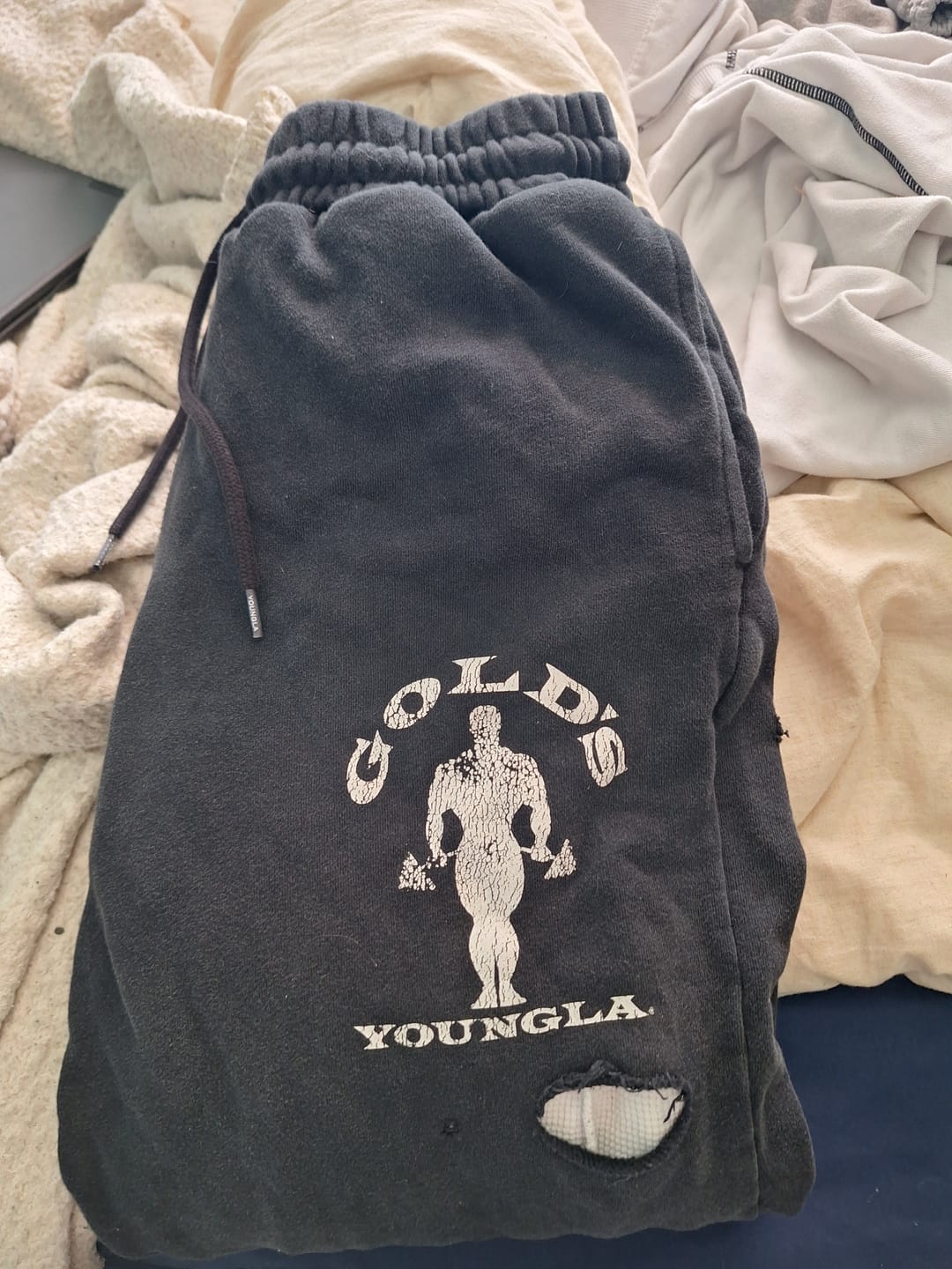 Customer photo review of 2054 - Gold's Iron Legacy Layered Joggers