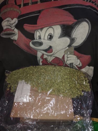 Customer photo review of Chocolate Diesel Littles - Bulk Littles - Sativa