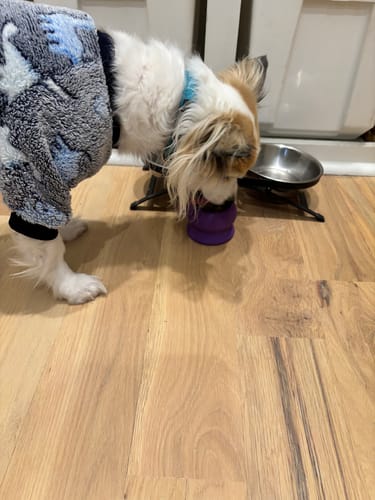 Customer photo review of Freezball - Durable Fillable Dog Chew Bone