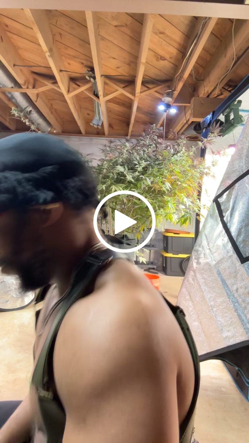 Customer video review of Aelfric Eden Super Baggy Barrel Sweatpants