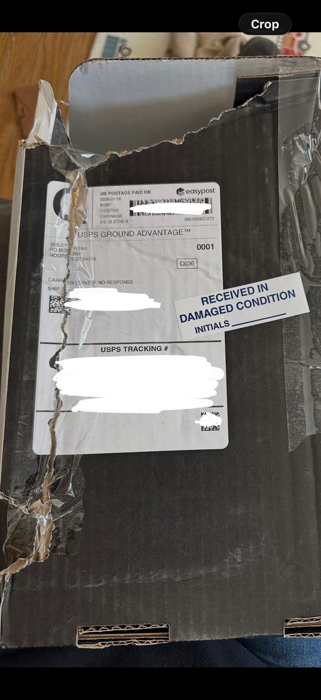Customer photo review of The Herd Thread Box