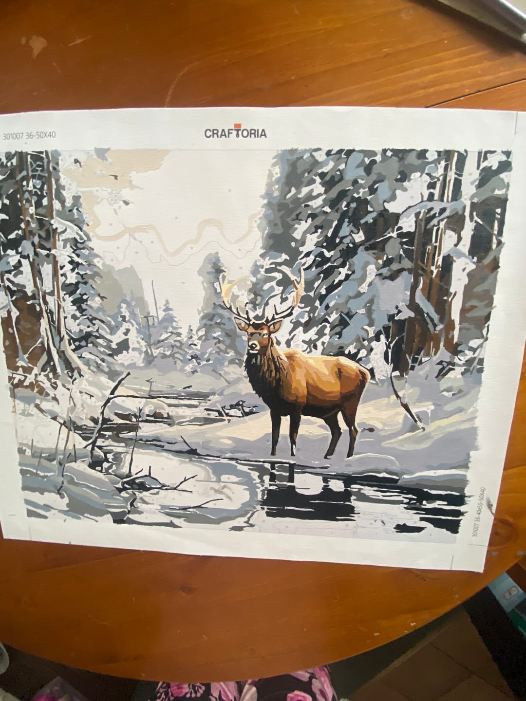 Customer photo review of Winter Elk