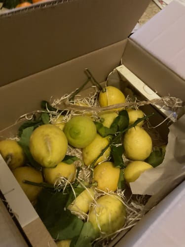 Kundenfoto zeigt die geöffneten Box mit frischen Ätna Zitronen mit Blättern und Stielen.