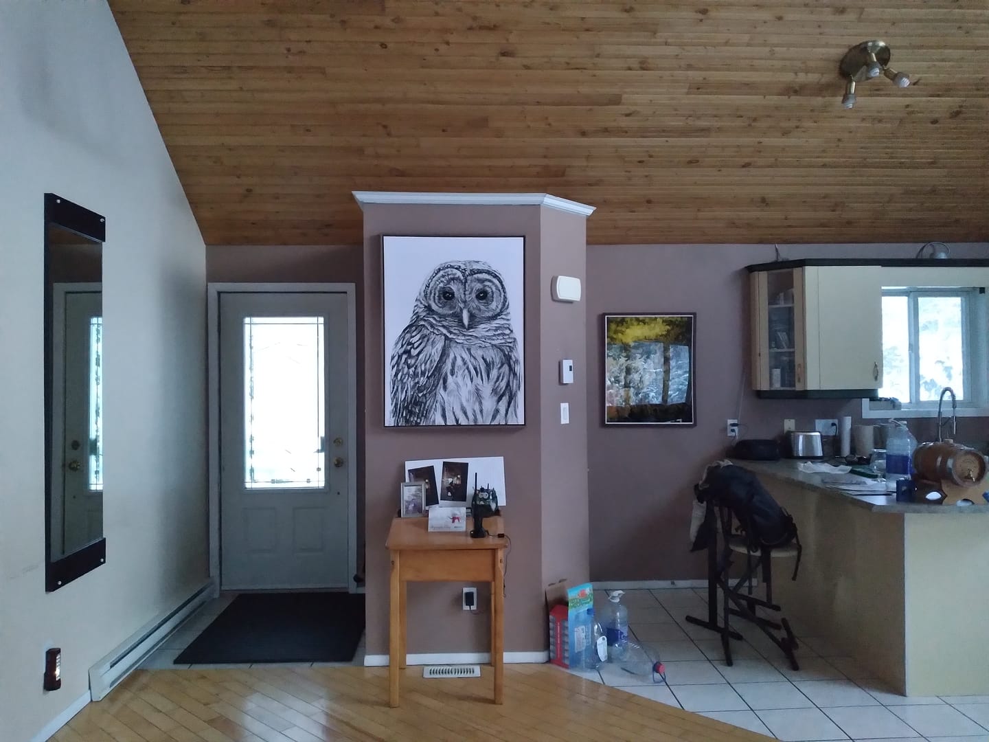 Customer photo review of Barred Owl - Paper Print