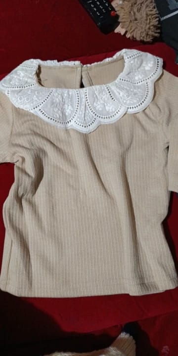 Customer photo review of Embroidered Flower Lotus Collar Top