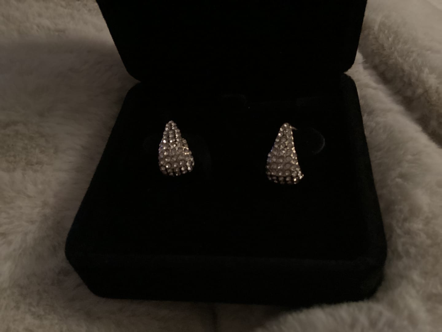 Customer photo review of Hira Earrings