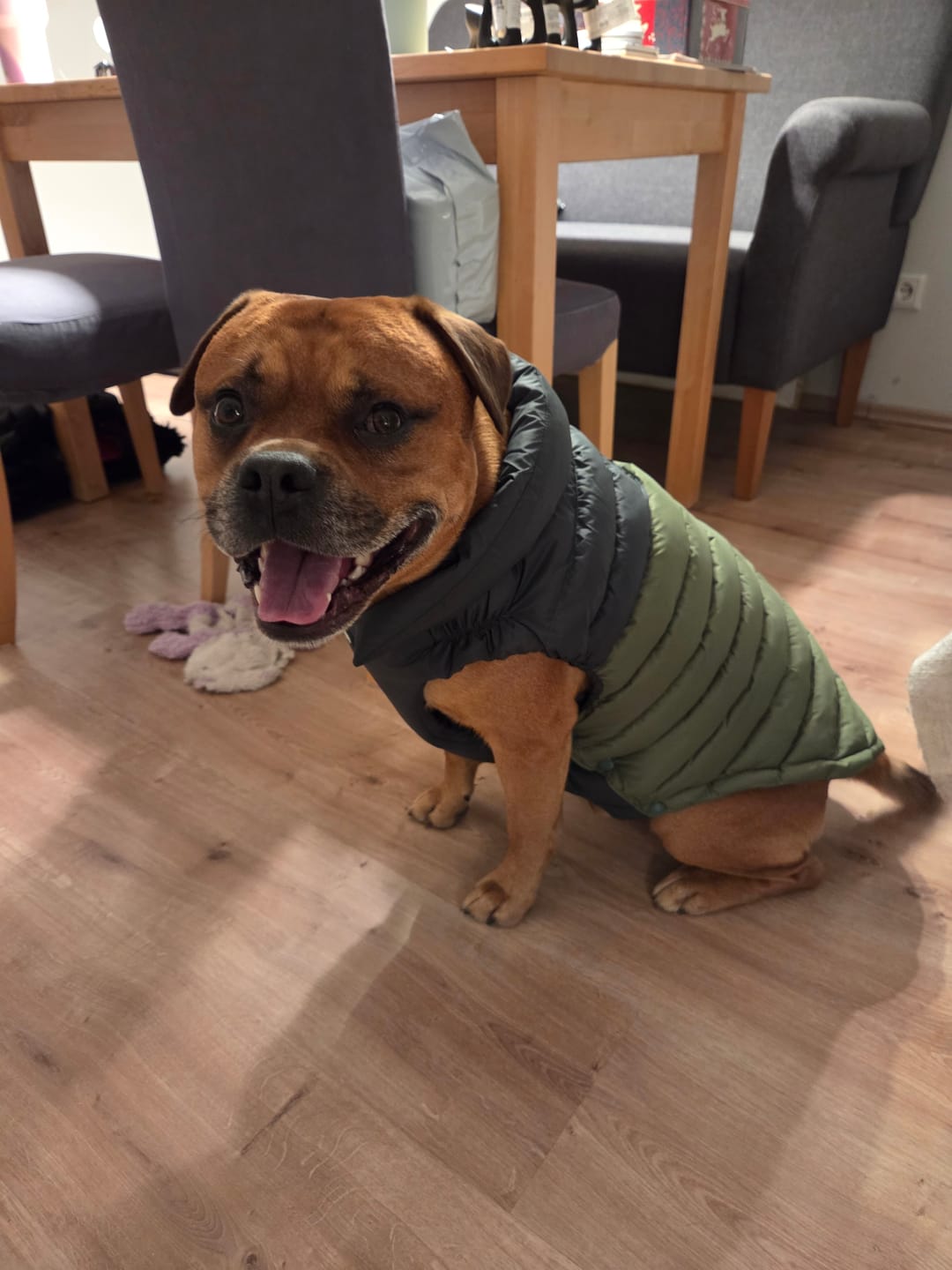 Customer photo review of PuffShield Winter Jackets