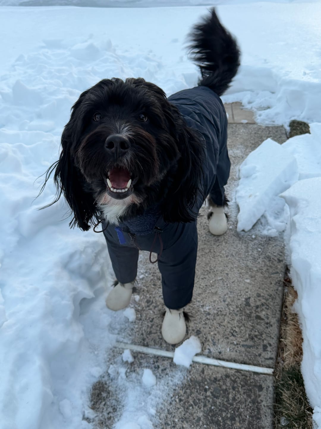 Customer photo review of Nylon Coverall