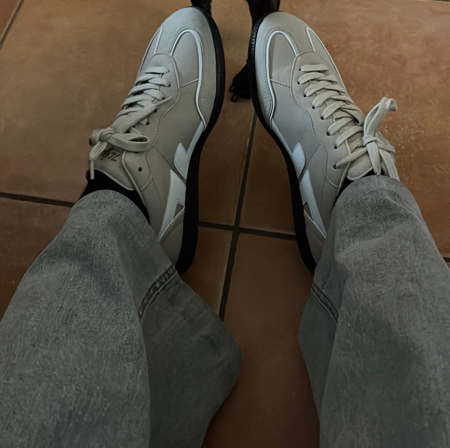 Customer photo review of Delta Beige