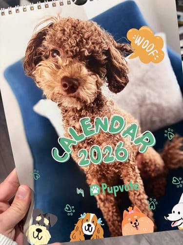 Customer photo review of Official Pupvote Cutest Pets of the Year Calendar (2026)