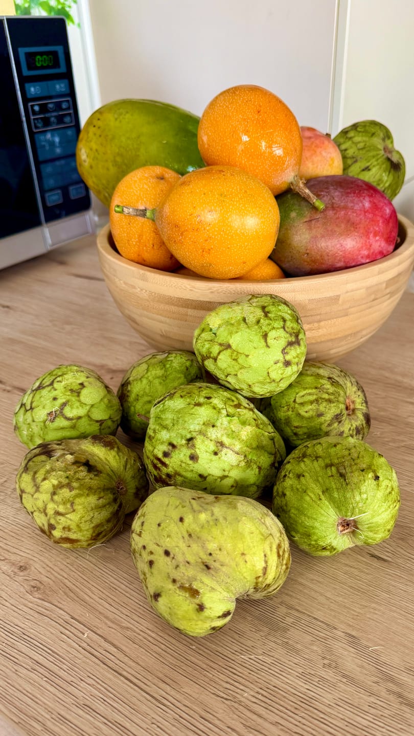 Customer photo review of Cherimoya "Campas" von Julian Aktionswoche