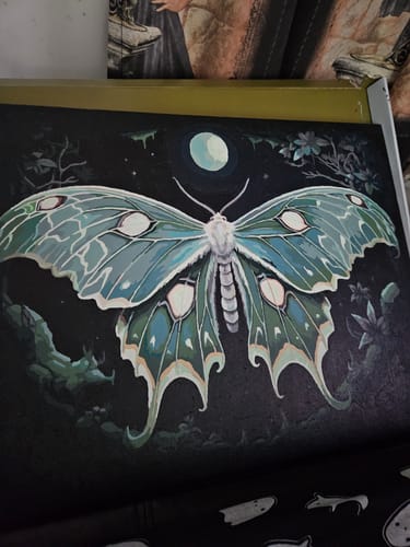 Customer photo review of Moonlight Moth