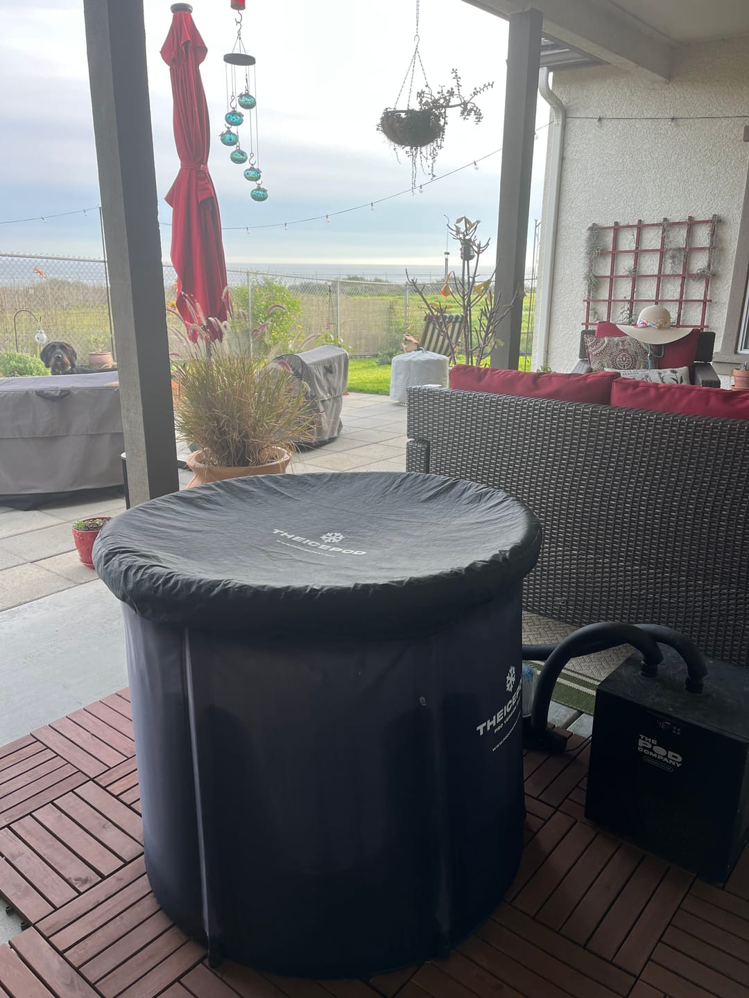 Customer photo review of Water Stabilizer