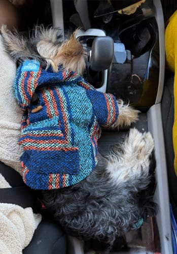 Customer photo review of Playa Poncho – Mystery Color (Bella, Charlie, or Fun Edition)