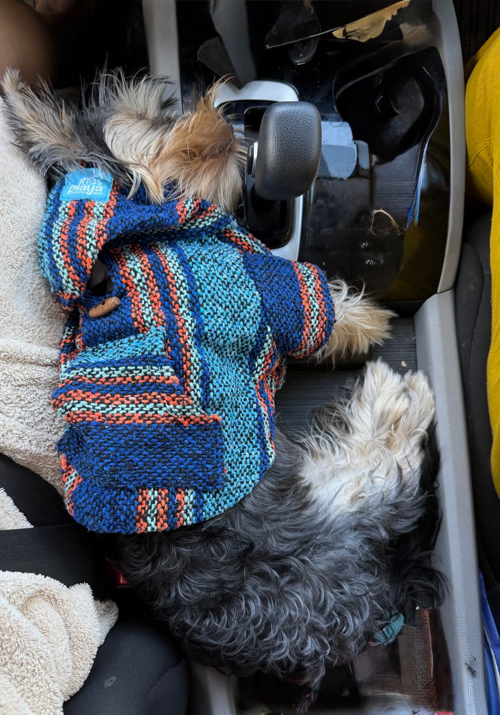 Customer photo review of Playa Poncho – Mystery Color (Bella, Charlie, or Fun Edition)