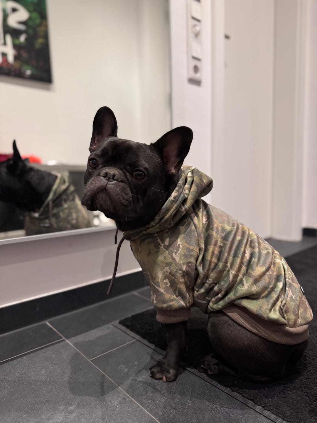 Customer photo review of Camo Dog Hoodies