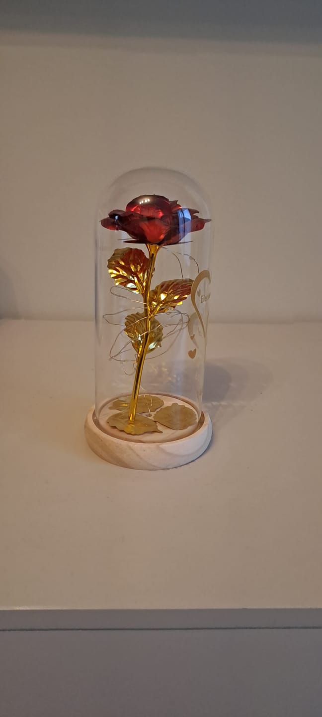 Customer photo review of Ti amo - Rosa eterna sotto campana di vetro con luce LED personalizzata con nomi e data dell'anniversario