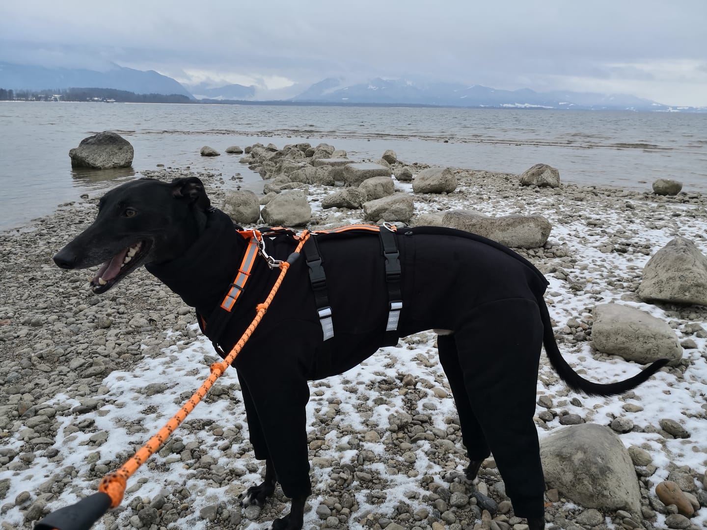 Customer photo review of Nuuk "Volcano Black"