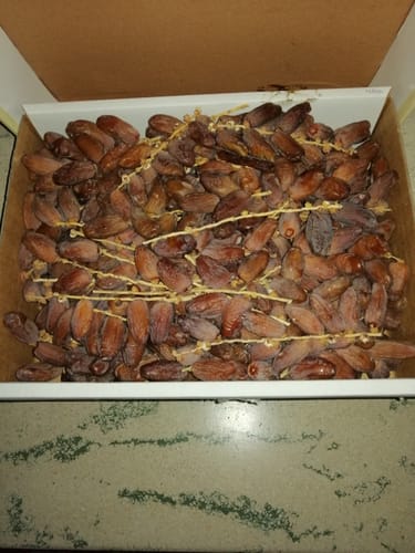 Kunde zeigt die Datteln Deglet Nour am Zweig in der geöffneten 5kg-Box.