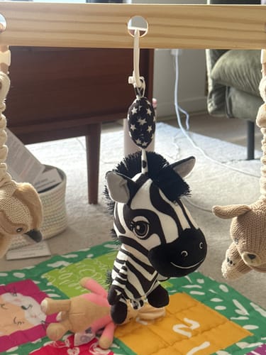 Customer photo review of High Contrast Essentials Bundle