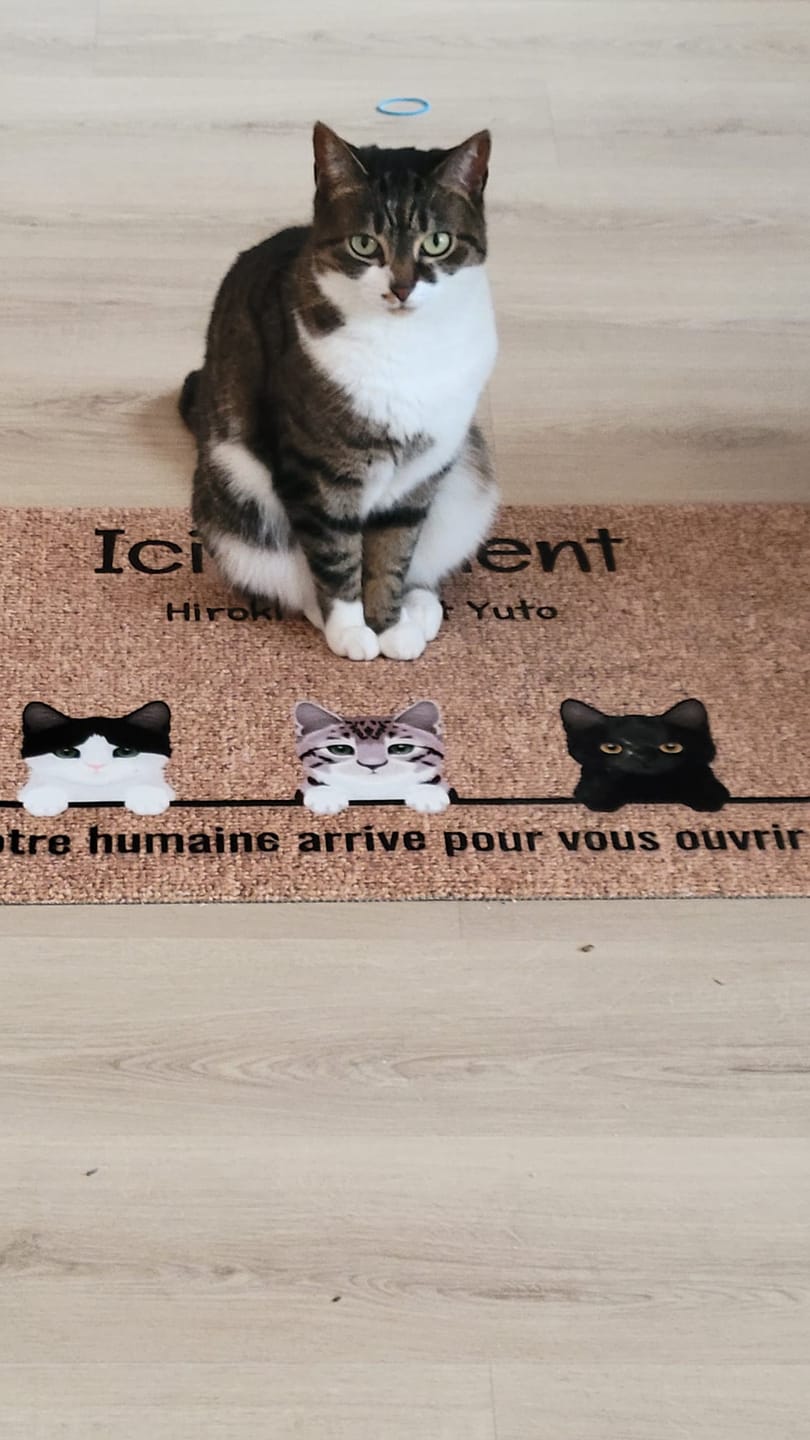 Customer photo review of Tous mes amis à poils - Paillasson personnalisé