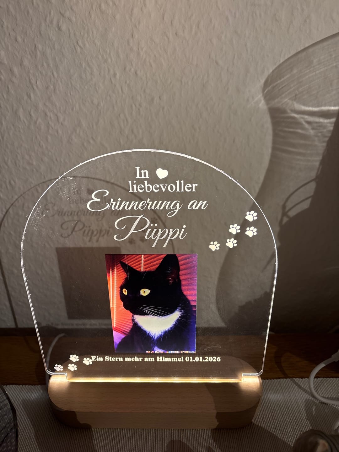 Customer photo review of Zur liebevollen Erinnerung – LED-Lampe für Hund/Katze