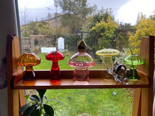 Customer photo review of Mycélium® - Coffret de 5 vases champignons en verre soufflé