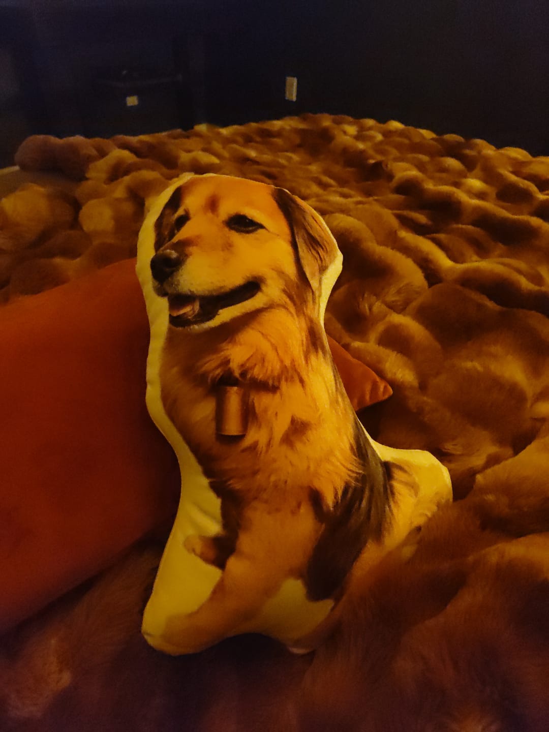 Customer photo review of Custom Dog Shaped Memorial Pillow for Pet Owners from Your Pet Picture