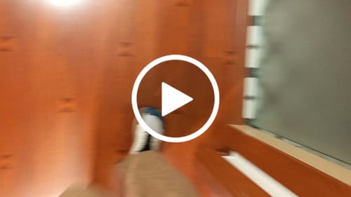 Customer video review of Stratus - Zapatos De Punta Ancha