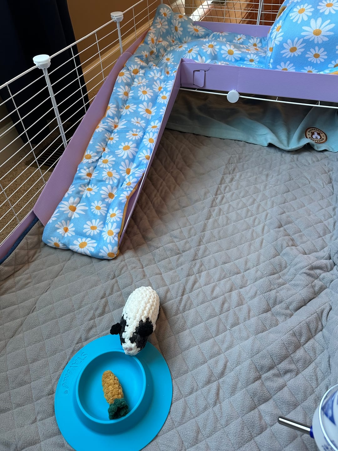 Customer photo review of 4x2 C&C Cage with Loft
