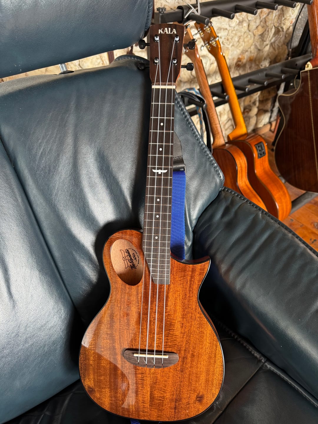 Customer photo review of KA-OWL–ACA–TE Acacia Wood Revelator® Night Owl Acacia Tenor Ukulele
