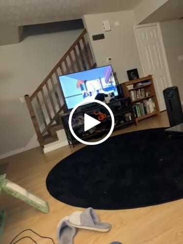 Customer video review of Blue Raspberry Dream - High Dose