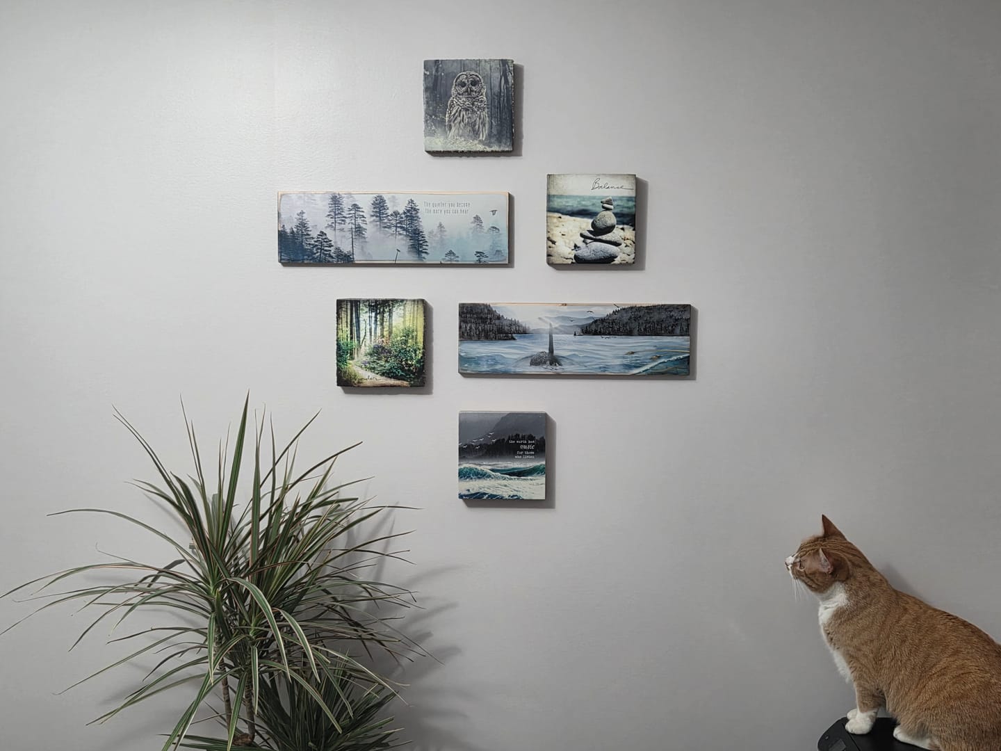 Customer photo review of Art Block - Lost & Found - Earth Music