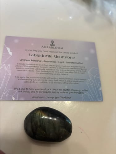 Customer's polished Labradorite Moonstone crystal from the VIP Crystal Club next to its description card.