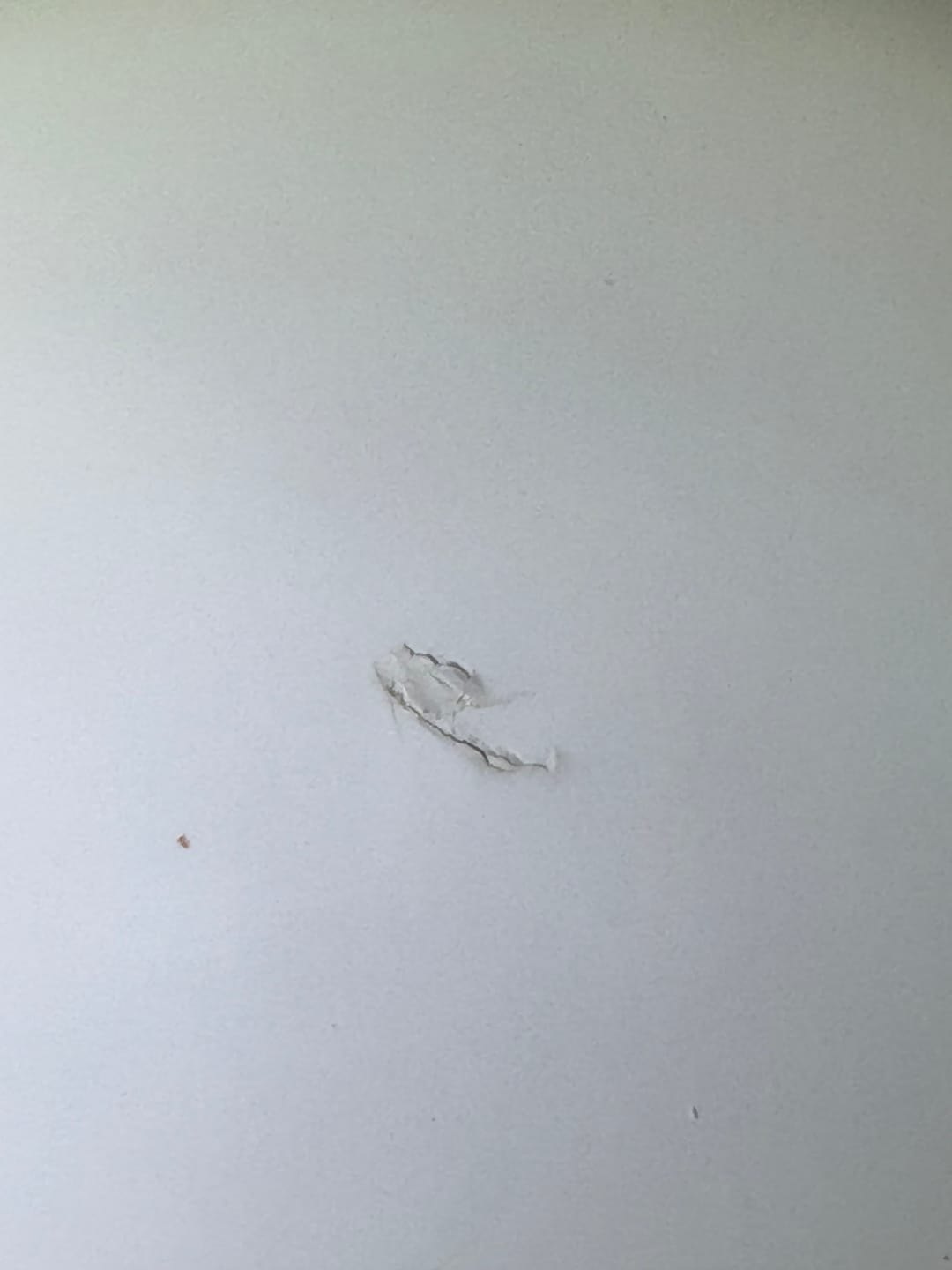 Customer photo review of Ultimate Chip Repair - Fiberglass, Acrylic, Porcelain Repair Kit