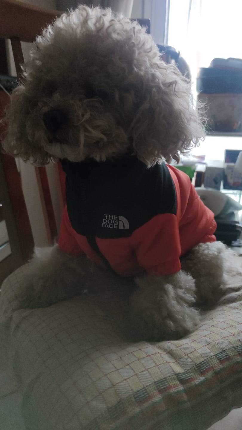 Customer photo review of Sweet Bomber