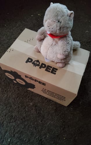 Un client montre la boîte de son kit découverte, sur laquelle est posée une jolie peluche.